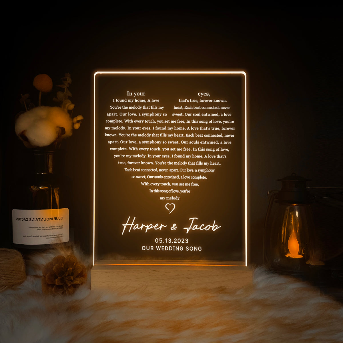 Personalized LED Plaque with Names and Lyrics (ANV02)