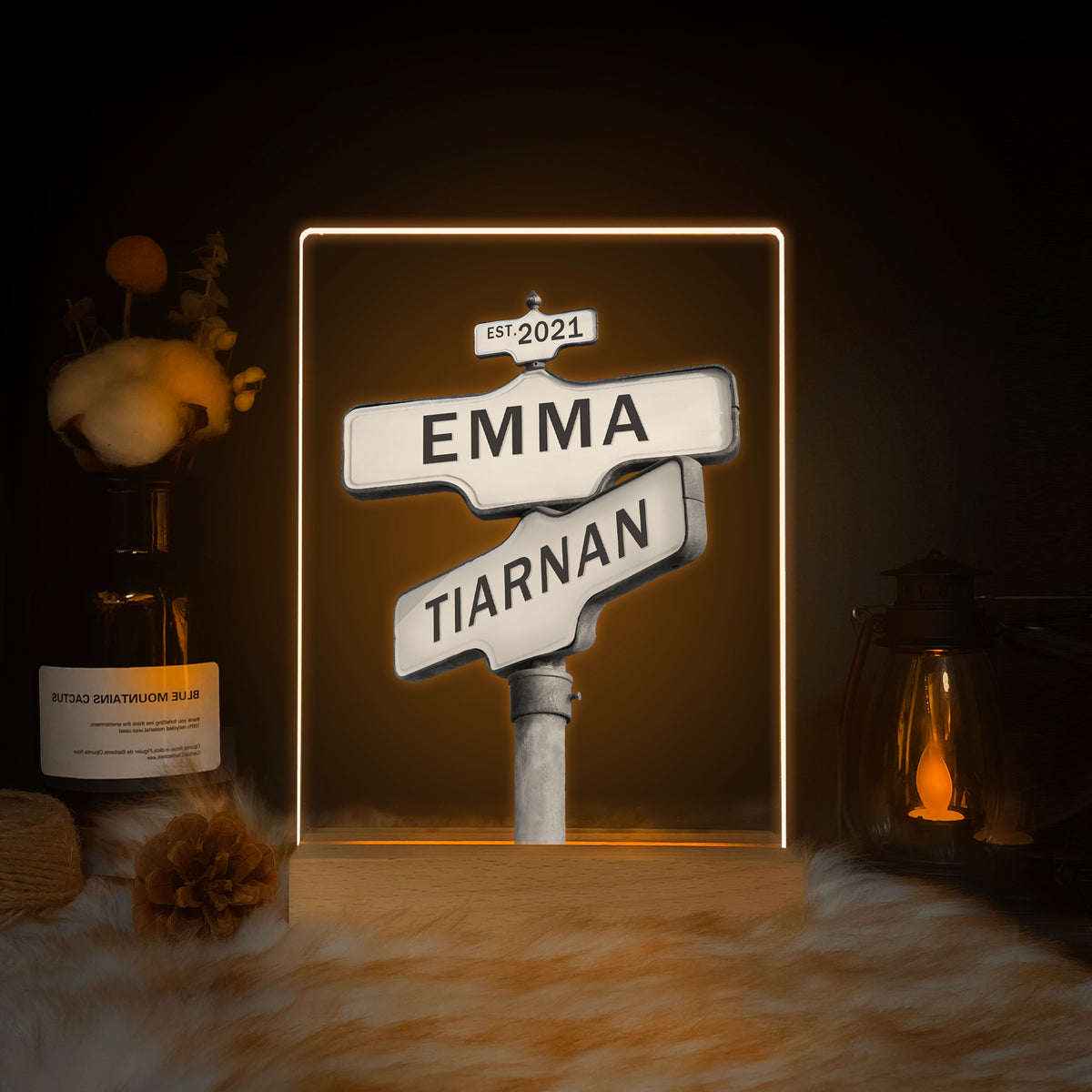 Personalized Street Sign LED Acrylic Night Light (NNV17)