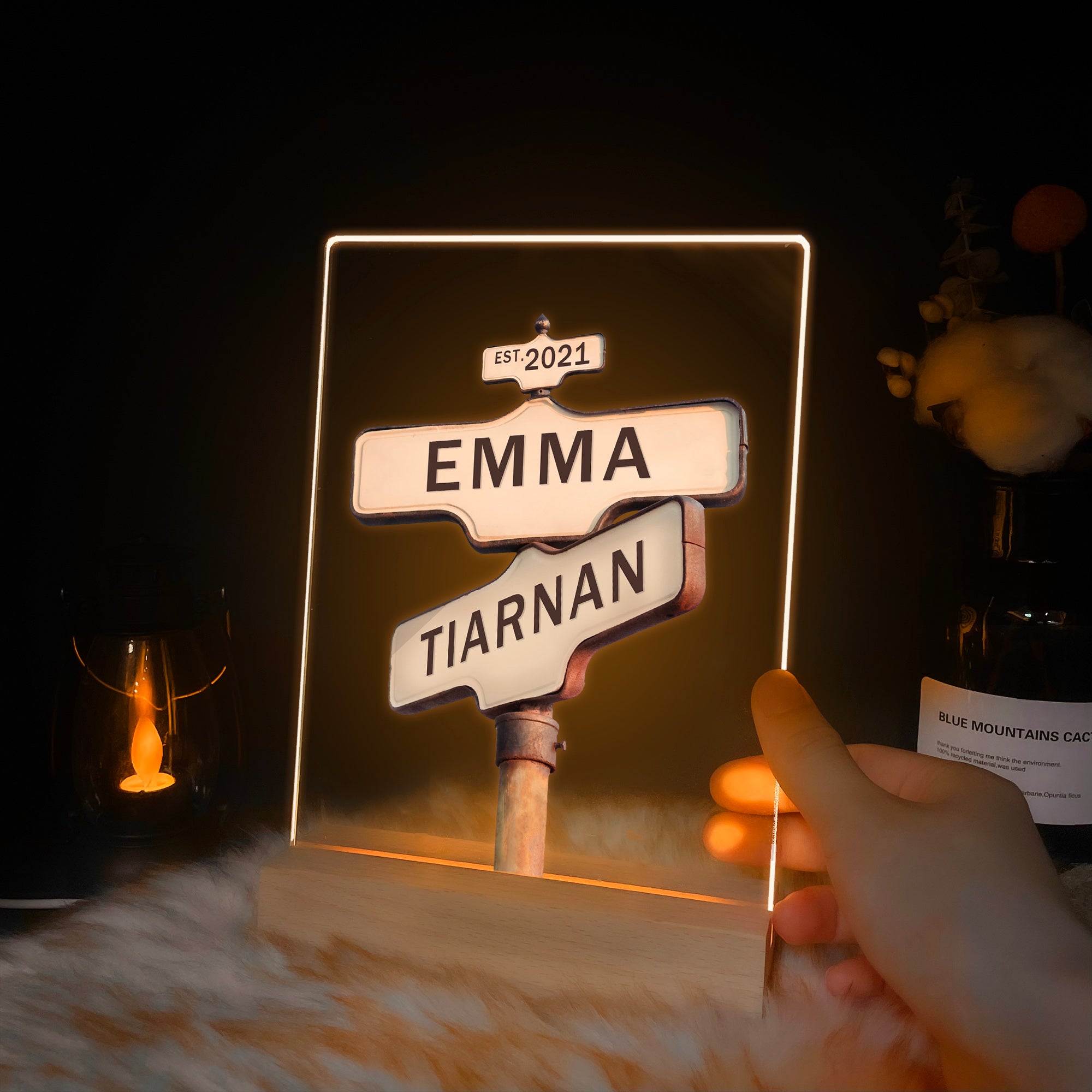 Personalized Street Sign LED Acrylic Night Light (NNV16)