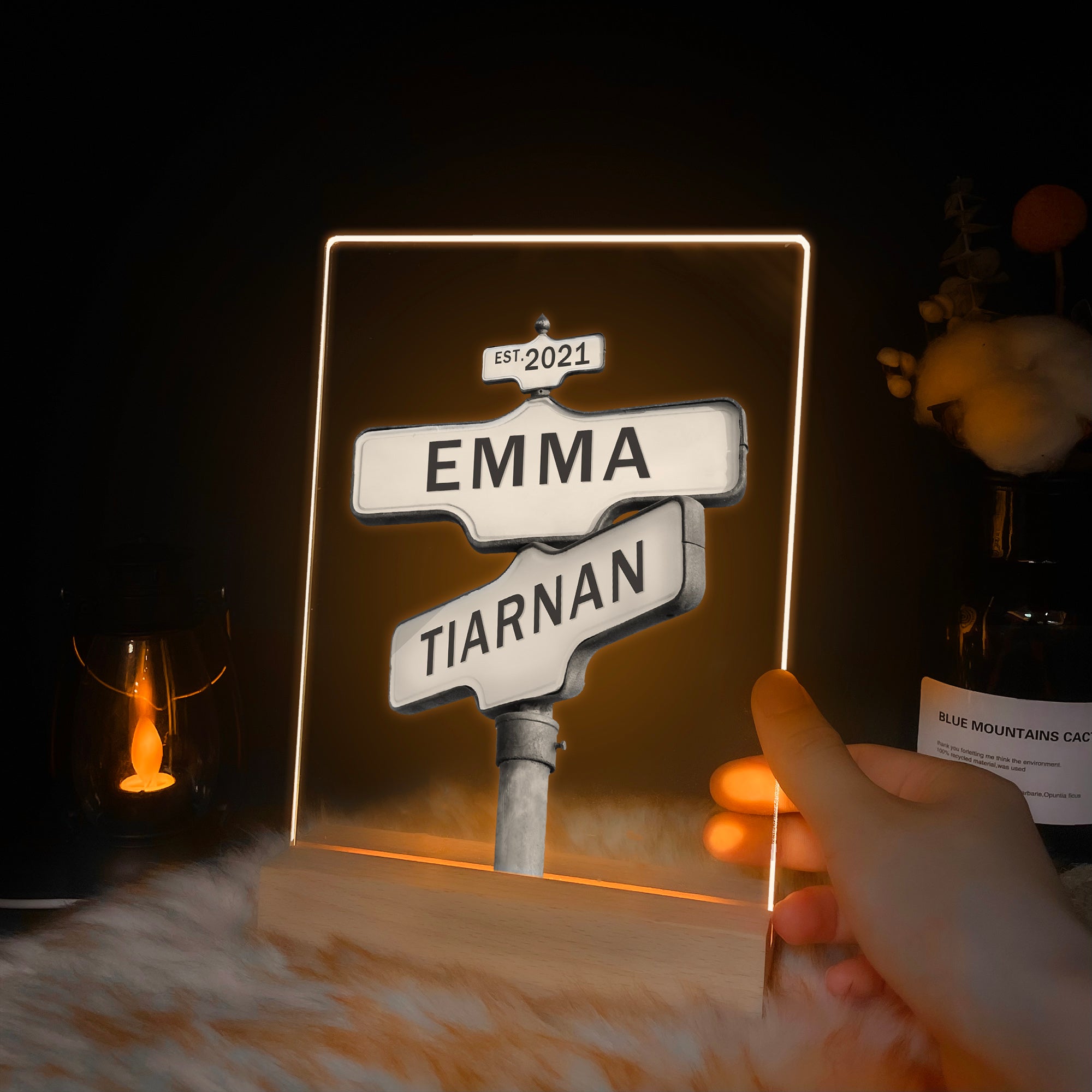 Personalized Street Sign LED Acrylic Night Light (NNV17)