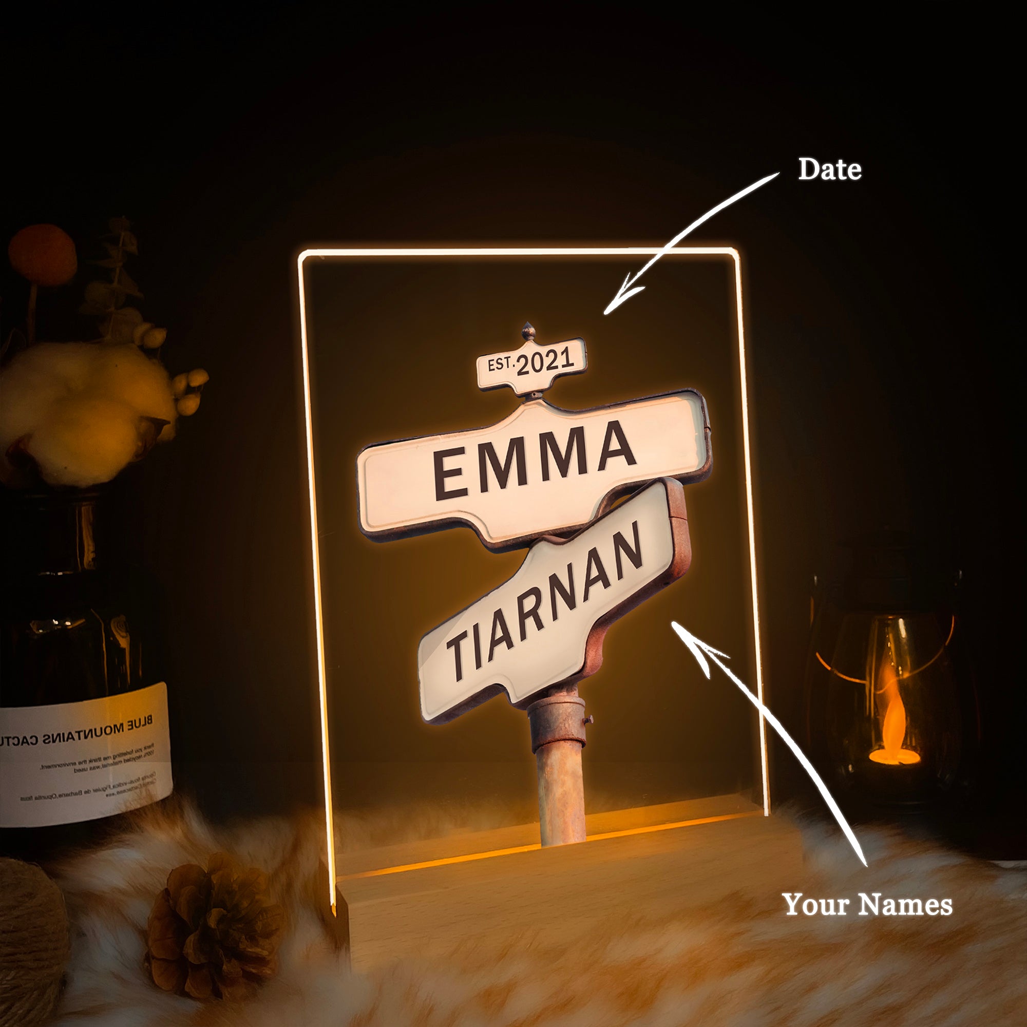 Personalized Street Sign LED Acrylic Night Light (NNV16)